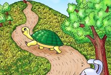 تست بینایی یافتن کفش در منظره تپه ای 1