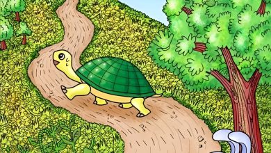 تست بینایی یافتن کفش در منظره تپه ای 1