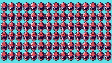 تست بینایی یافتن کلاه ایمنی منحصر به فرد 1