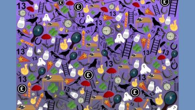 تست بینایی یافتن گربه سیاه بین اشیا خرافی 1