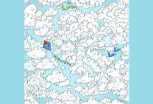 تست بینایی یافتن گوسفند میان ابرها