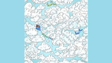 تست بینایی یافتن گوسفند میان ابرها