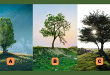 تست شخصیت میزان نوستالژیک بودن 1