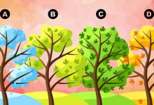 تست شخصیت‌ عیب های پنهان شما 1