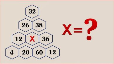 تست هوش ریاضی معمای هرمی 1