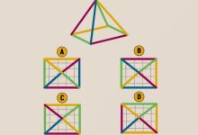 تست هوش نمای بالایی درست هرم 1
