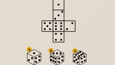 تست هوش نمای درست مکعب تاس 1