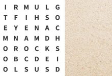 تست هوش یافتن کلمه DISH 1