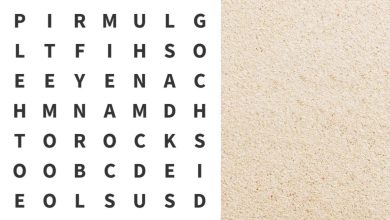 تست هوش یافتن کلمه DISH 1