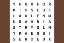 تست هوش یافتن کلمه MISER-1