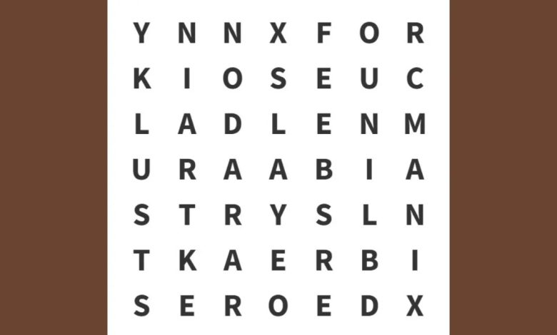 تست هوش یافتن کلمه MISER-1