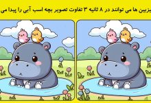 تفاوت تصویری بچه اسب آبی 1