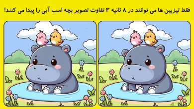 تفاوت تصویری بچه اسب آبی 1