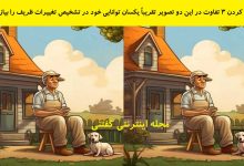 تفاوت تصویری پیرمرد و توله سگش 1