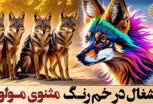 حکایت افتادن شغال در خم رنگ