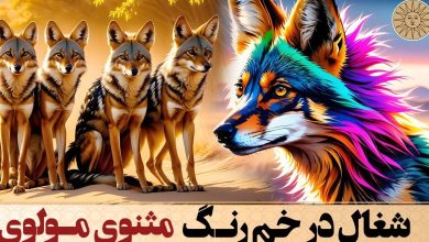 حکایت افتادن شغال در خم رنگ