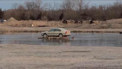 داستان عجیب جزیرهٔ ولوو