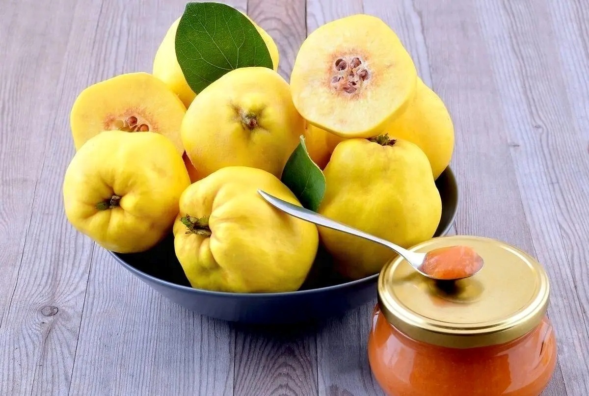 دیابتی‌ها در پاییز چه میوه‌هایی بخورند-5