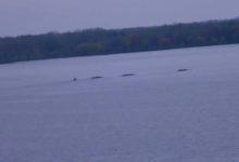 راز انفجارهای مرموز دریاچه سنِکا بالاخره فاش شد