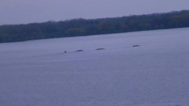 راز انفجارهای مرموز دریاچه سنِکا بالاخره فاش شد