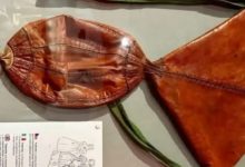 وَنوِرا وسیله‌ای عجیب برای باد شکم