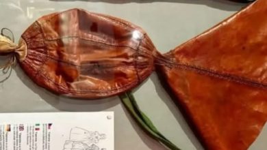 وَنوِرا وسیله‌ای عجیب برای باد شکم