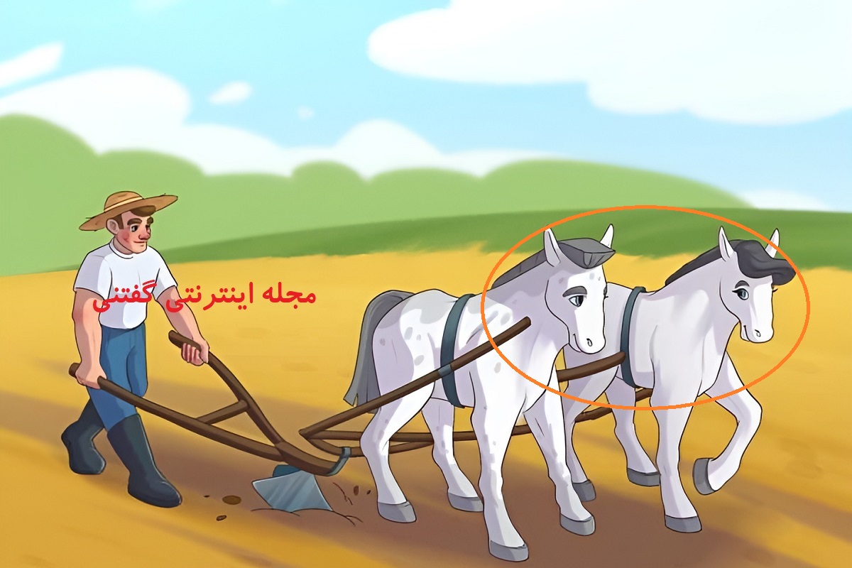 پاسخ اشتباه تصویری شخم زدن مزرعه توسط اسب ها