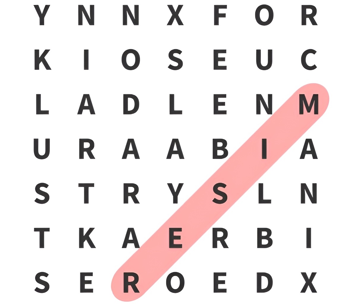 پاسخ تست هوش یافتن کلمه MISER