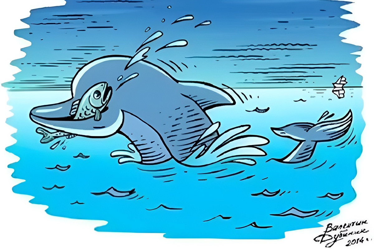 تست بینایی دیدن دو پرنده در دریا