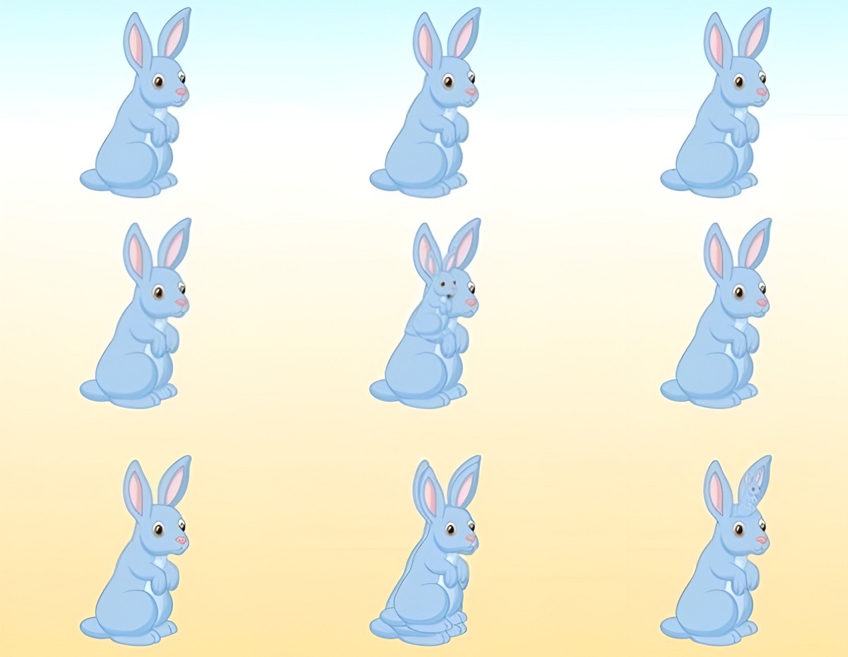 تست هوش تعداد خرگوش های تصویر