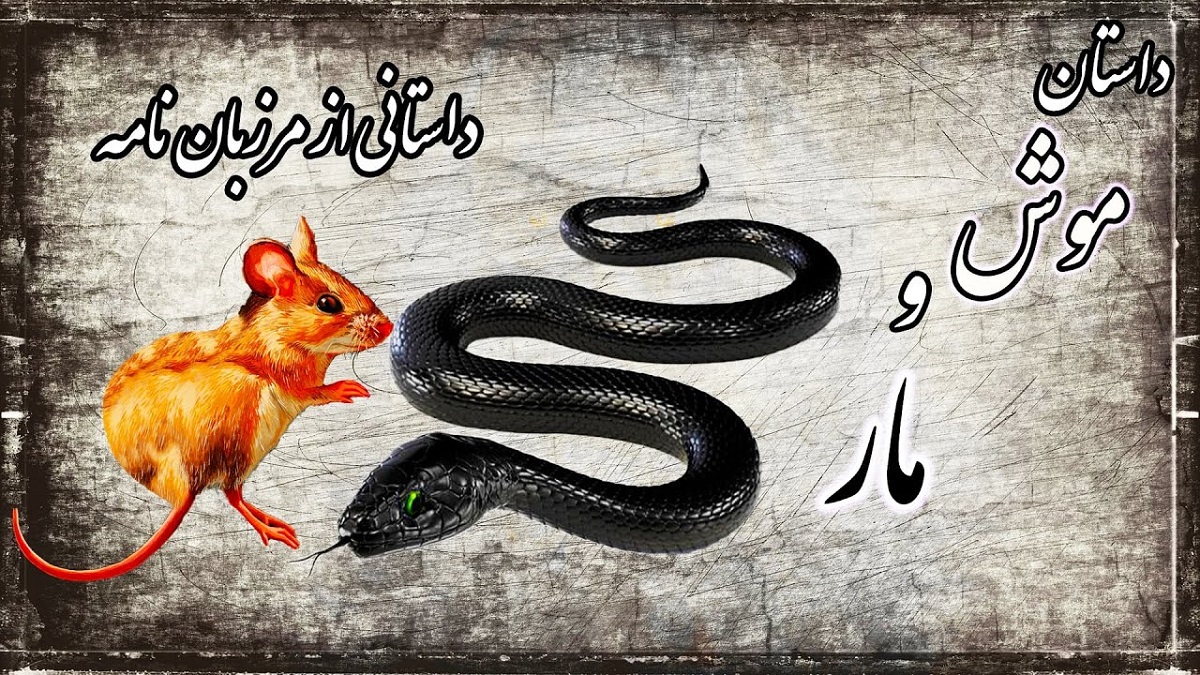 داستان موش و مار 3