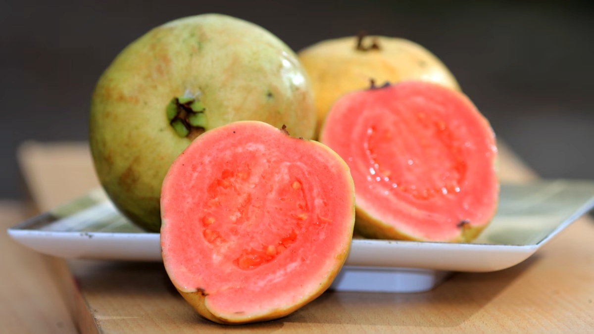 ویتامین C طبیعی بیشتر از پرتقال-1