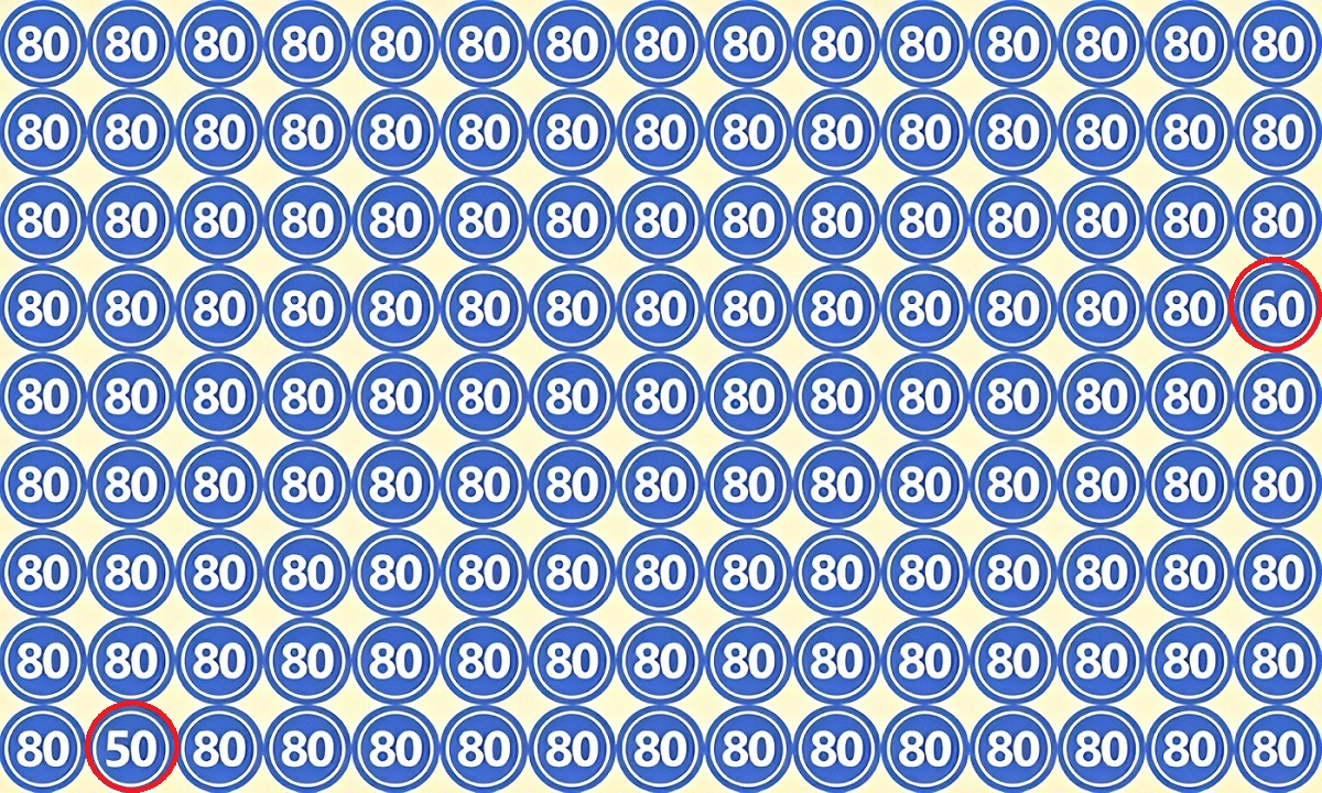 پاسخ تست بینایی یافتن اعداد 60 و 50 میان اعداد 80
