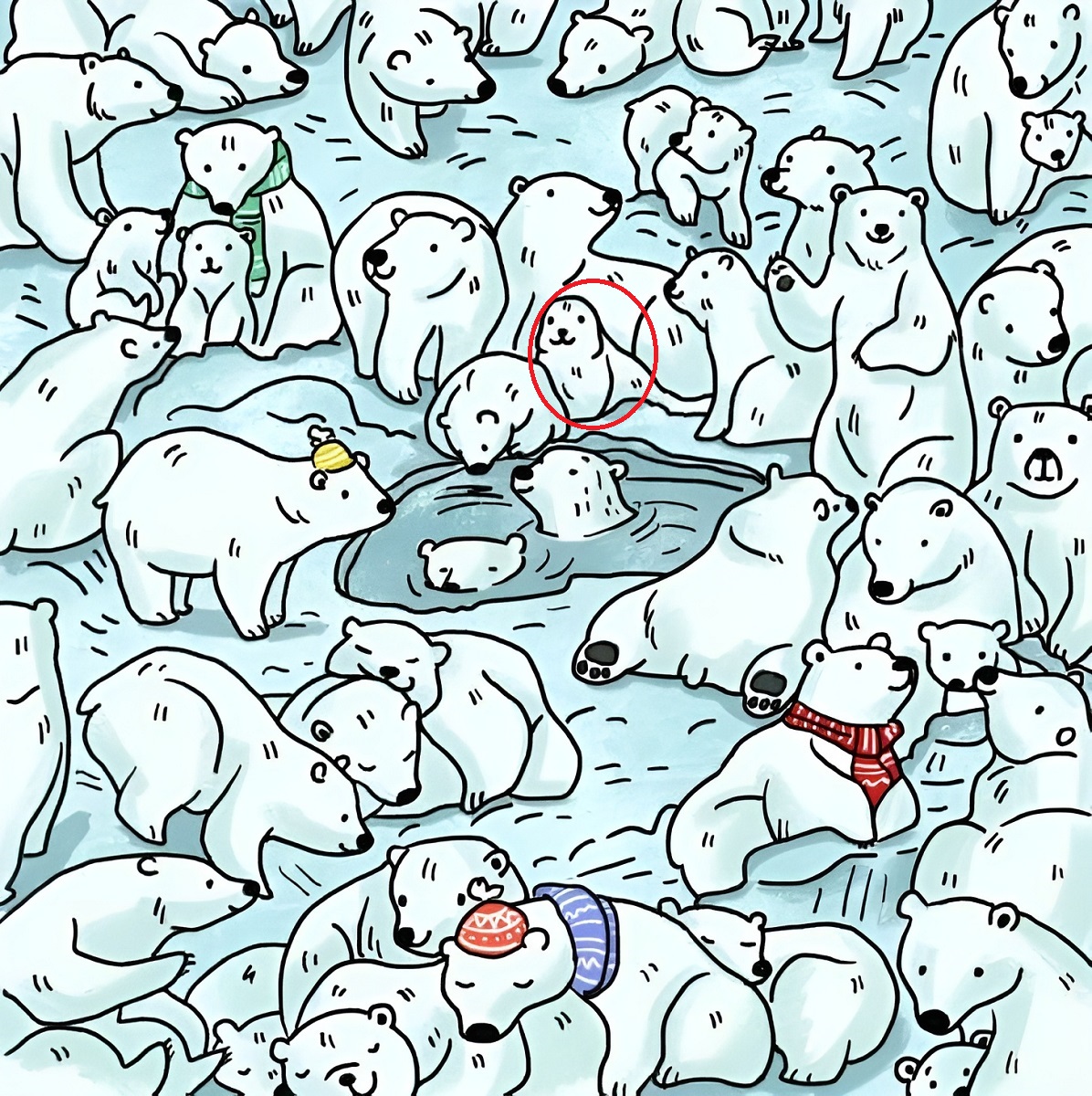 پاسخ تست بینایی یافتن فک میان خرسهای قطبی