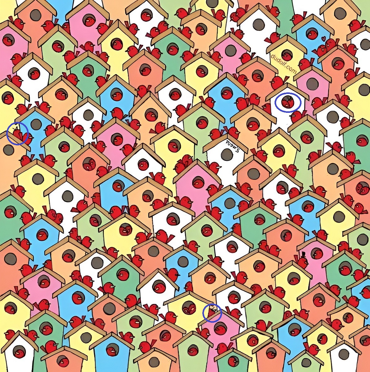 پاسخ تست بینایی یافتن ۳ سیب بین پرندگان