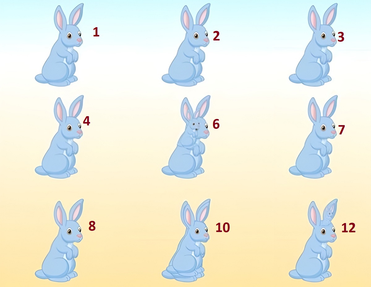 پاسخ تست هوش تعداد خرگوش های تصویر