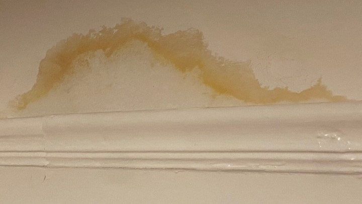 چگونه زردی گچ سقف یا دیوار را برطرف کنیم؟