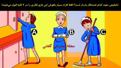 بازی فکری شناخت خدمتکار باردار 1