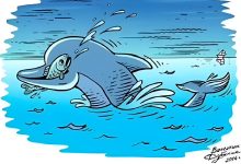 تست بینایی دیدن دو پرنده در دریا 1