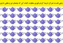 تست بینایی یافتن قوری متفاوت 1