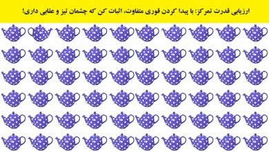 تست بینایی یافتن قوری متفاوت 1