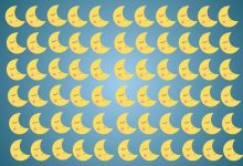 تست بینایی یافتن ماه خوابیده متفاوت 1