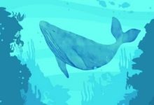 تست بینایی یافتن پری دریایی ها در اقیانوس 1