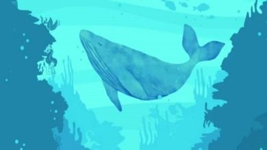 تست بینایی یافتن پری دریایی ها در اقیانوس 1