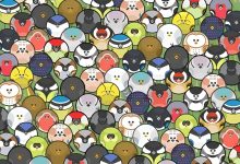 تست بینایی یافتن کرم خاکی میان پرندگان 1