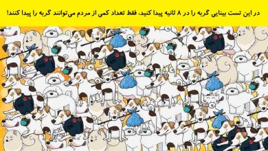 تست بینایی یافتن گربه میان سگ ها 1