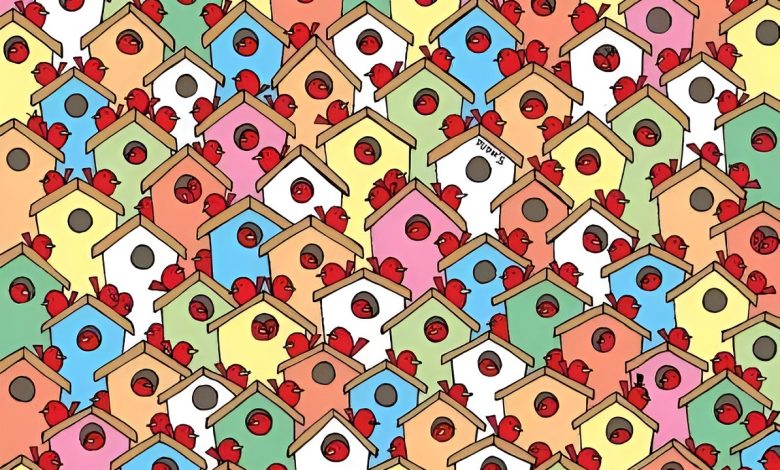 تست بینایی یافتن ۳ سیب بین پرندگان 1