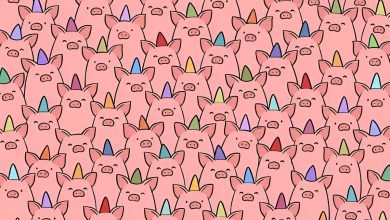 تست بینایی ۳ خوک بدون کلاه 1