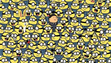 تست بینایی ۳ موز پنهان بین مینیون ها 1