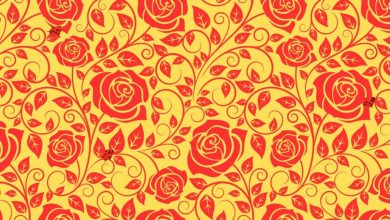 تست بینایی ۳ کفشدوزک در میان گل‌های رز 1